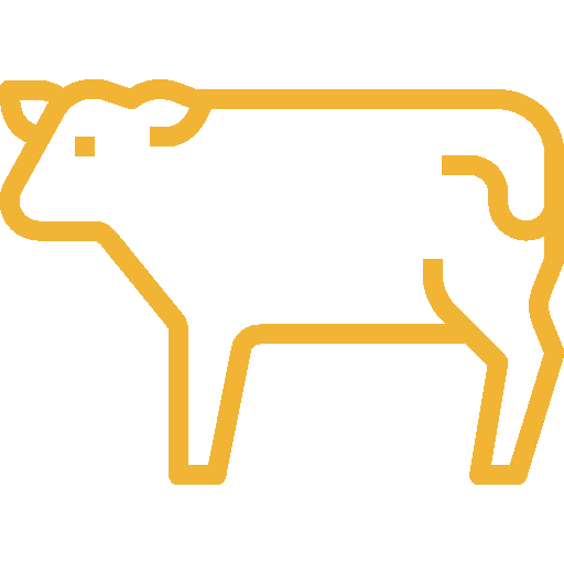 cow icon