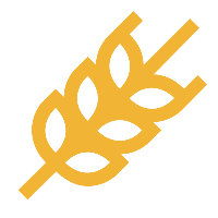 wheat icon